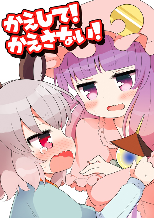 __nazrin_and_patchouli_knowledge_touhou_drawn_by_marshmallow_mille__2bf67851f46b31859d288a2502518299.png