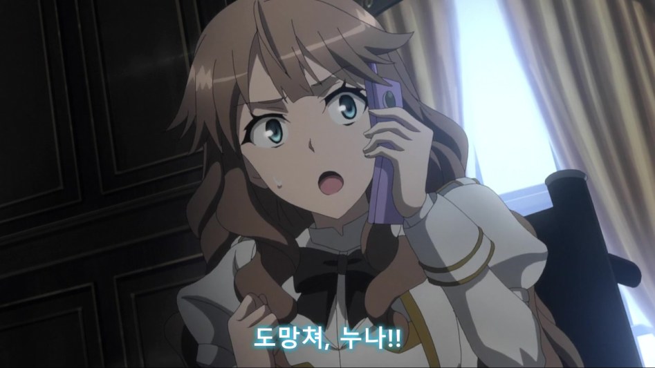 [페이트 아포그리파] 이해할 수 없는 전개_6.jpg