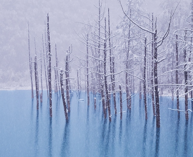 biei-blue-pond-image16.jpg