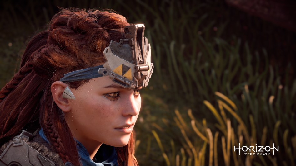 Horizon Zero Dawn™_ Complete Edition_20180115001124.png