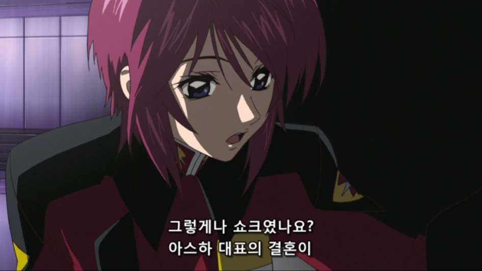 [QTS] Mobile Suit Gundam Seed Destiny HD-Remaster ep 15 (BD H264 1280x720 AAC).mp4_20180118_174356.747.jpg