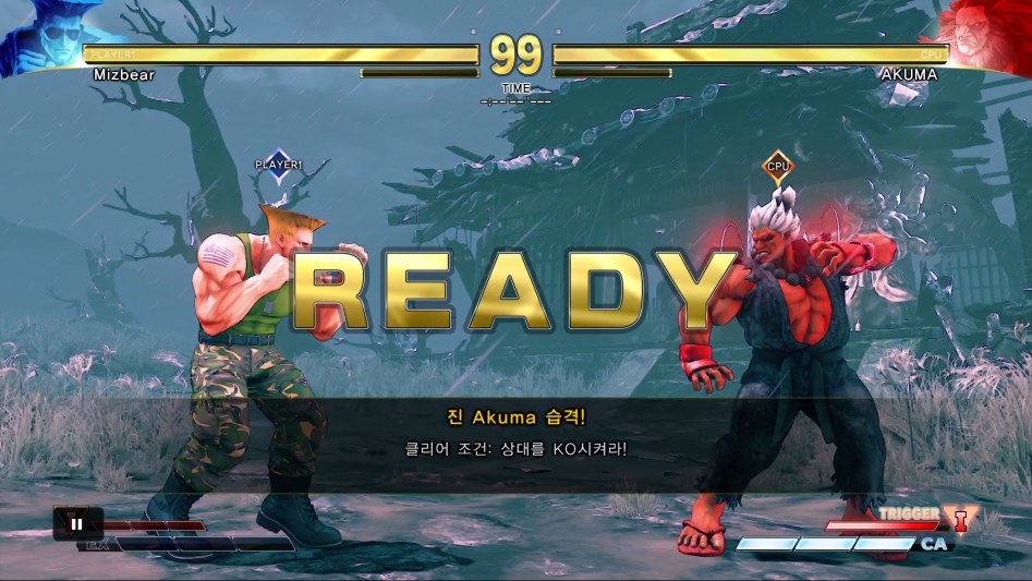 STREET FIGHTER V_20180120155749.png