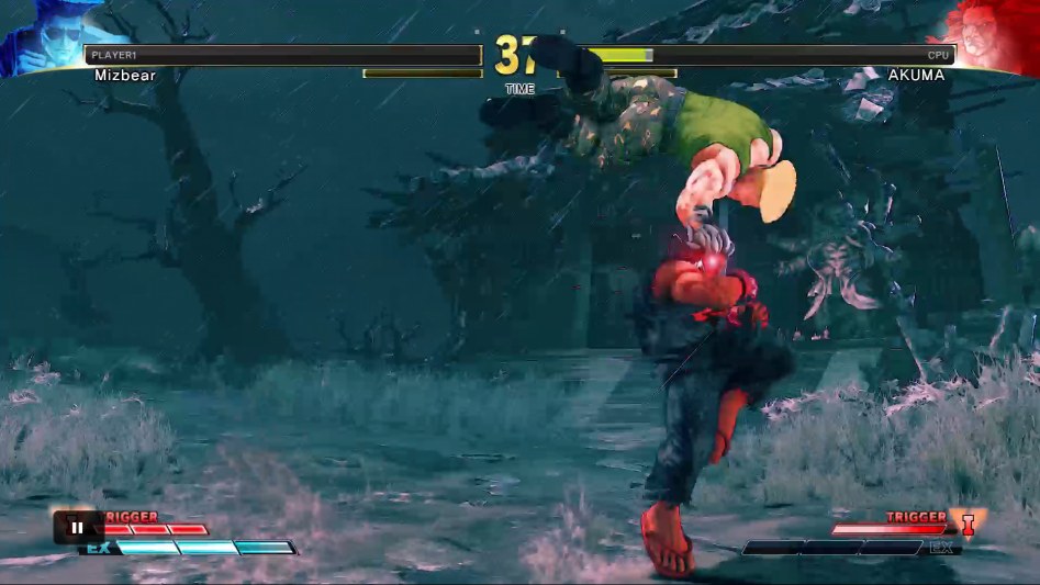 STREET FIGHTER V_20180120160122.png