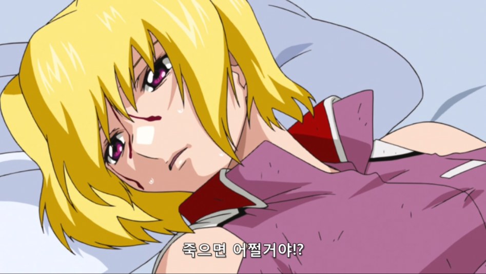 [QTS] Mobile Suit Gundam Seed Destiny HD-Remaster ep 26 (BD H264 1280x720 AAC 2.0+2.0).mp4_20180122_153534.055.jpg