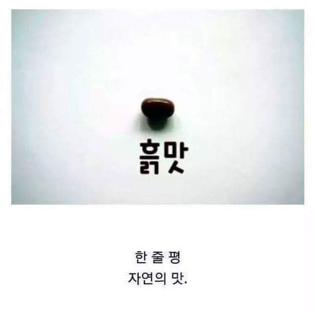 해리포터 온갖 맛이 나는 젤리 리뷰_5.jpg
