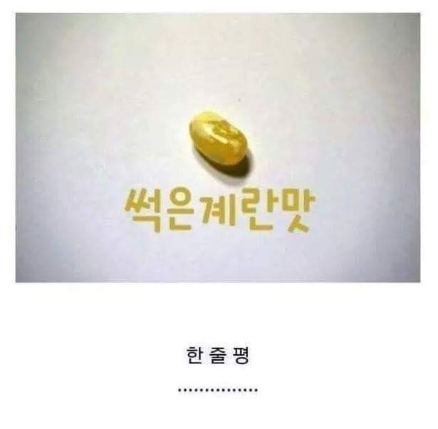 해리포터 온갖 맛이 나는 젤리 리뷰_6.jpg
