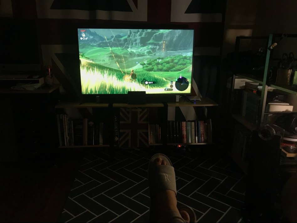 흔한 30살 히키코모리하기 좋은 겜성 방_8.jpg