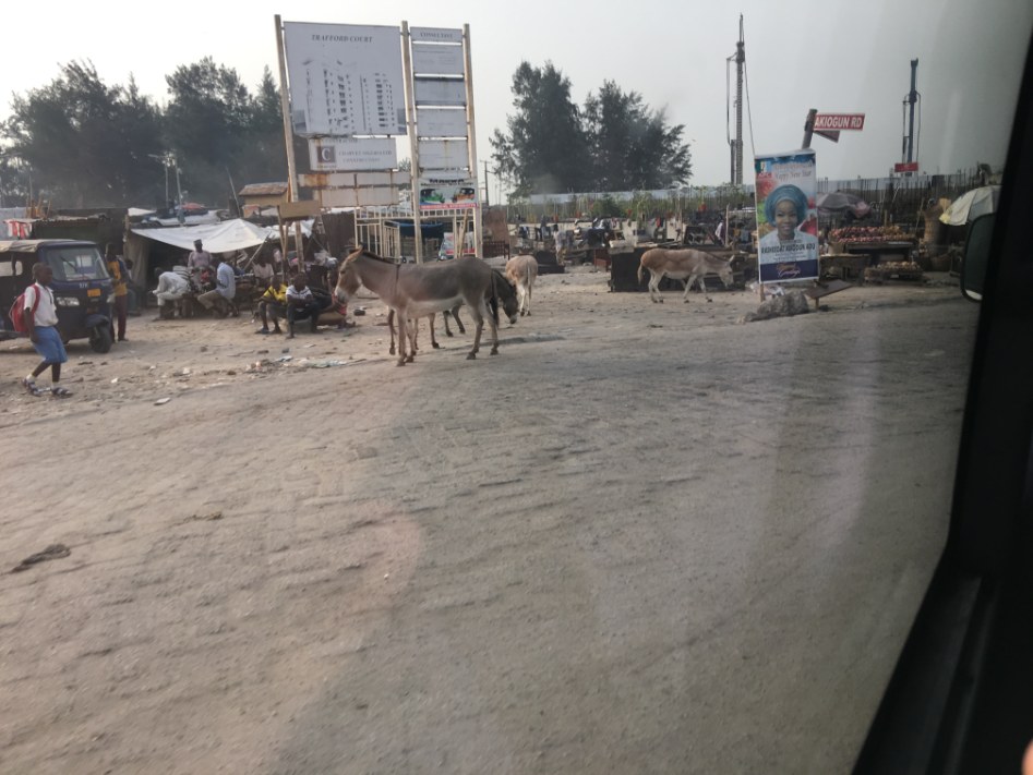 나이지리아 출장기_7.jpg