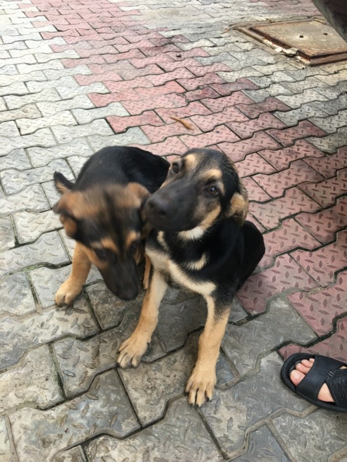 나이지리아 출장기_25.jpg