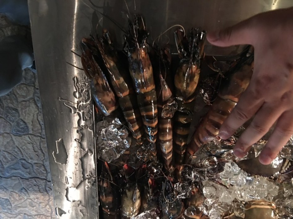 나이지리아 출장기_34.jpg