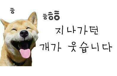 개웃음.jpg