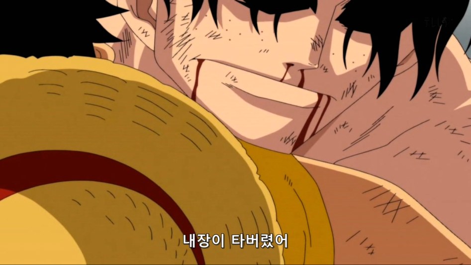 [원피스]이런 나를 사랑해줘서 고마워_14.jpg