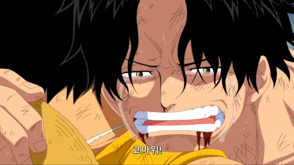 [원피스]이런 나를 사랑해줘서 고마워_44.jpg