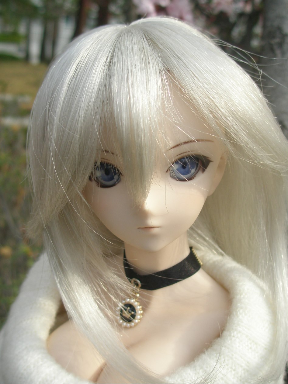 바람속에서의 벚꽃 출사_9.jpg