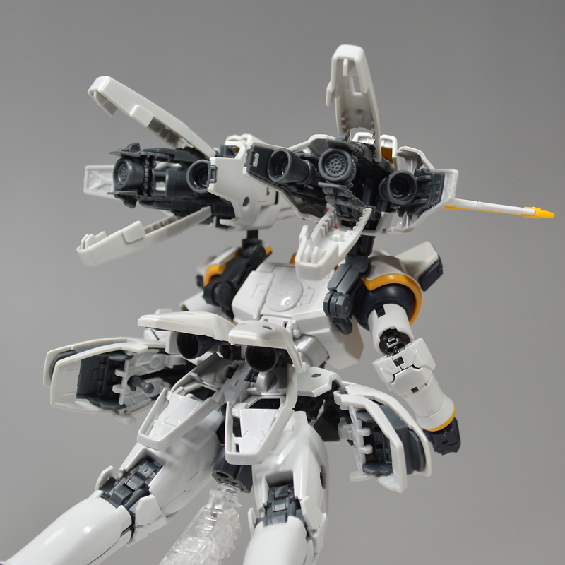 RG 톨기스 EW 해외 리뷰 2_52.jpg