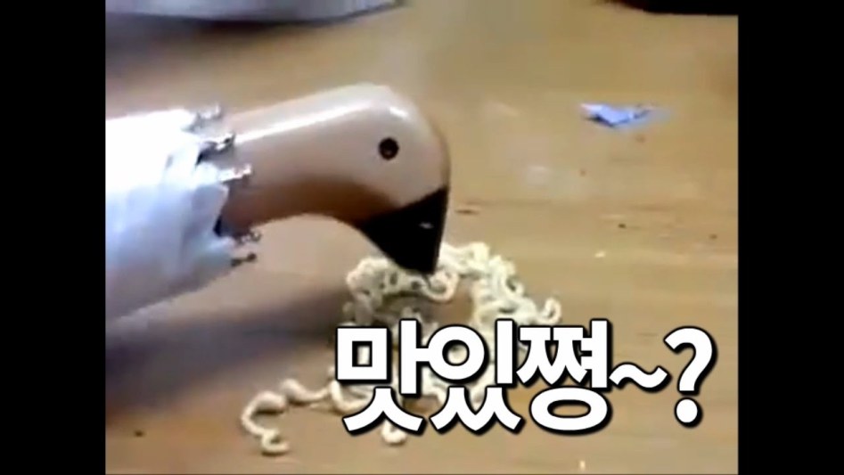 김치볶음밥 마시쩡 ㅎㅎ | 유머 게시판 | 		루리웹 김치볶음밥 마시쩡 ㅎㅎ | 유머 게시판 | 루리웹