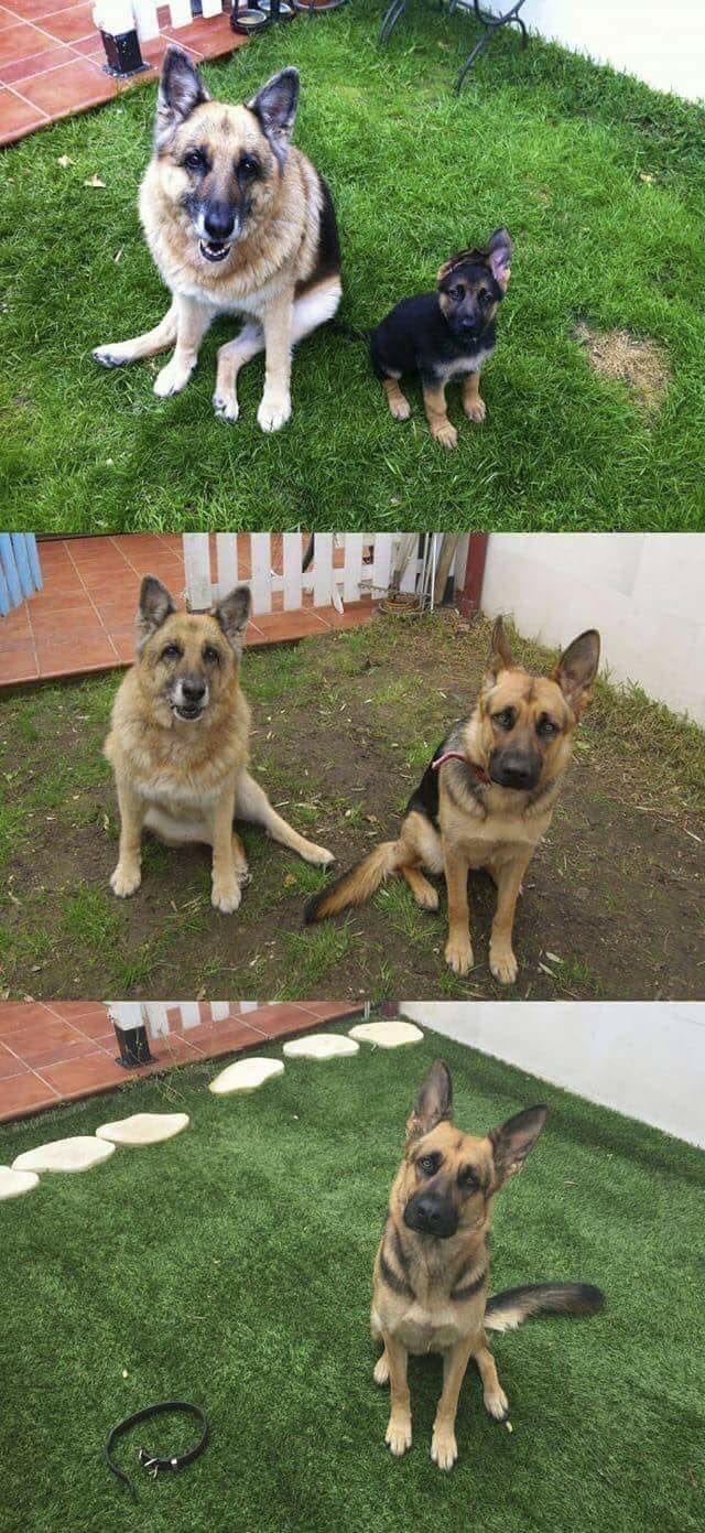 아빠와 아들의 성장모습.jpg_1.jpg