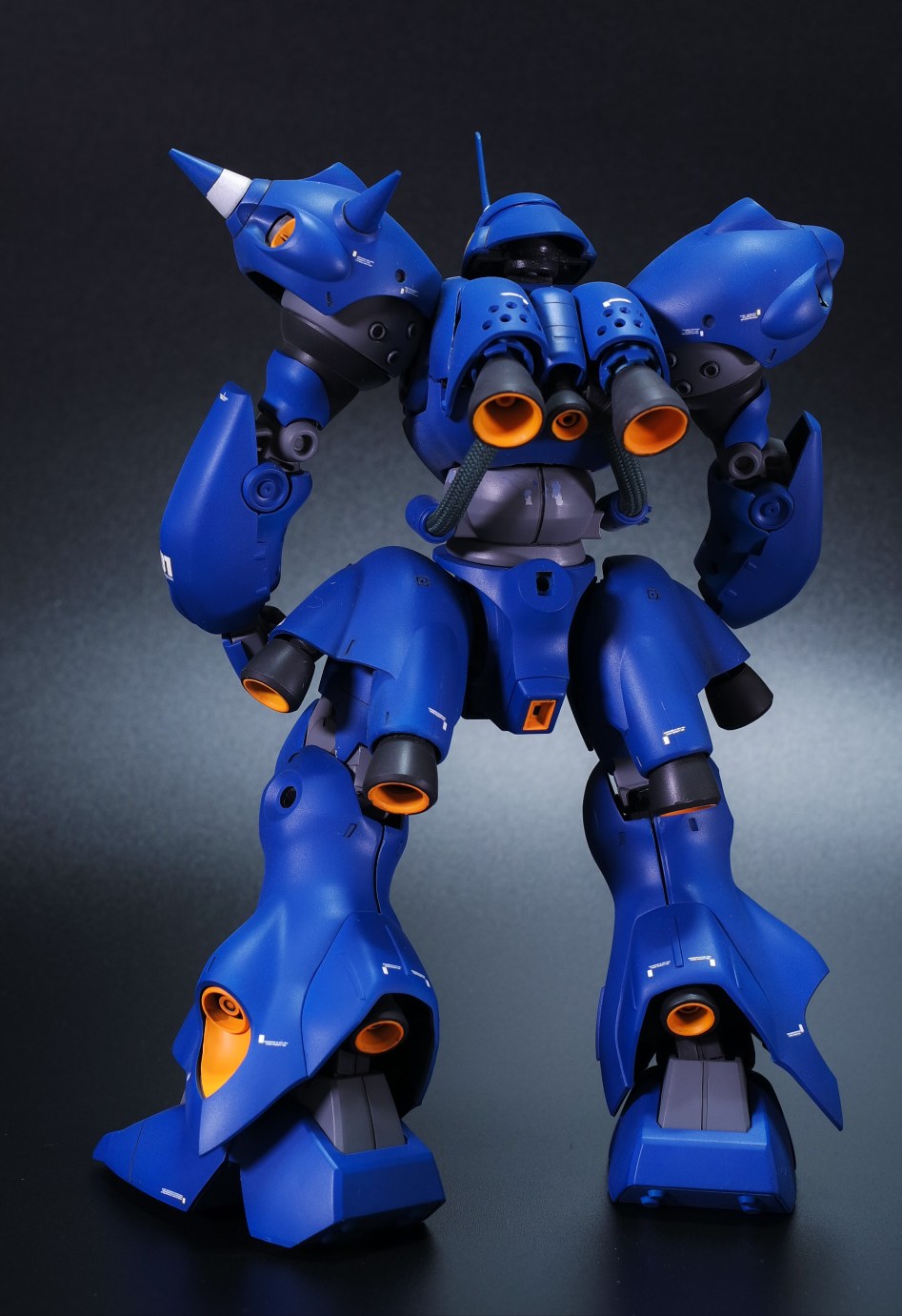 kampfer-2.jpg