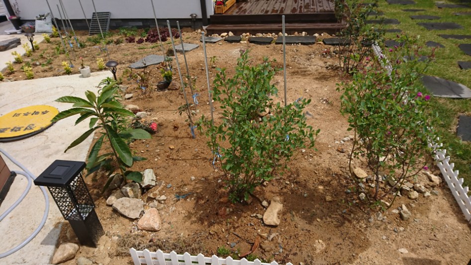 마당있는 집에 사는 꿈을 이루었습니다~^^_6.jpg