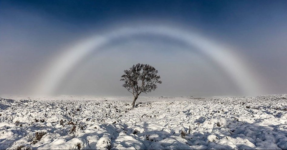 PAY-Rare-WHITE-rainbow-photo.jpg