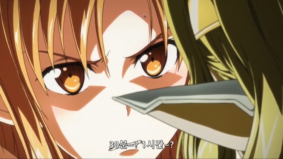 [바카-Raws] Sword Art Online #24 (MX 1280x720 x264 AAC).mp4_20180613_162112.179.jpg