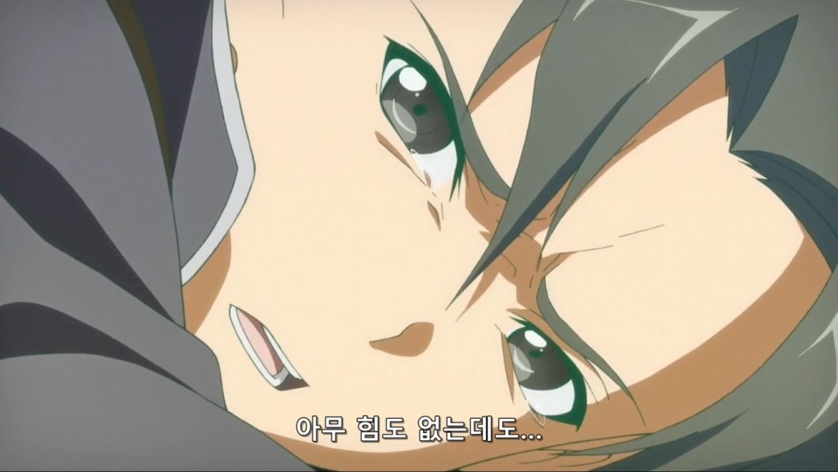 [바카-Raws] Sword Art Online #24 (MX 1280x720 x264 AAC).mp4_20180613_162321.846.jpg