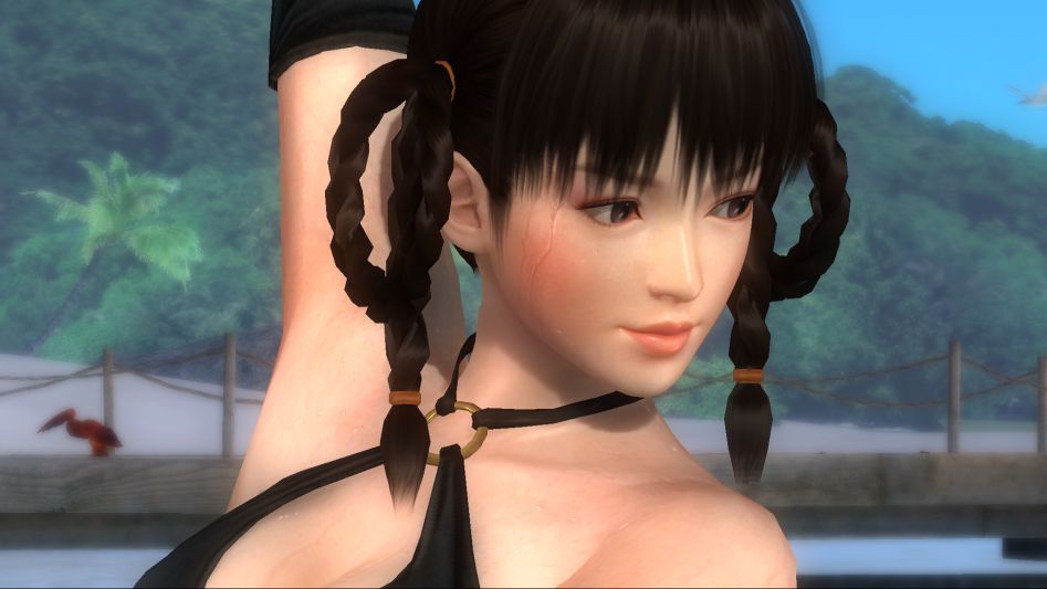 DEAD OR ALIVE 5 Last Round (기본 무료판) (3).png
