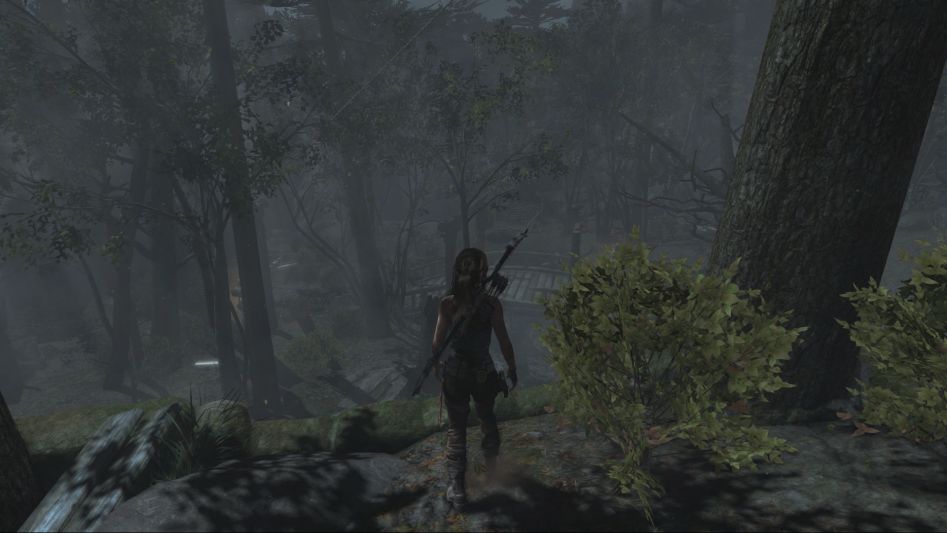 Tomb Raider Definitive Edition.png