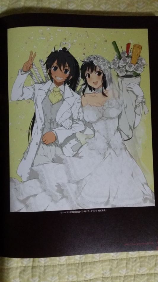 섬란 버스트 리뉴얼 일러스트 북 샀습니다_7.jpg