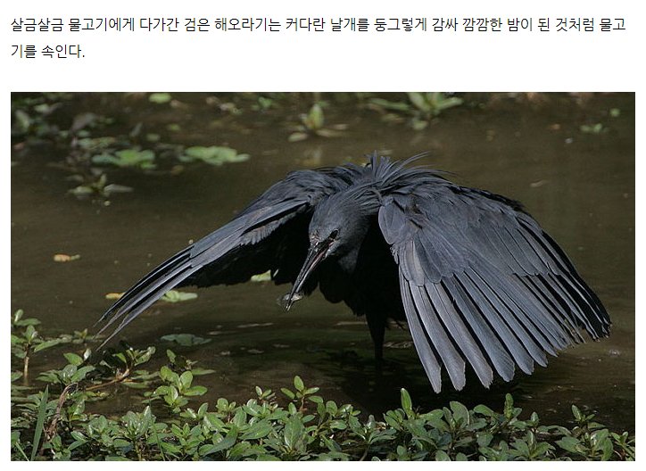 밤이 되었습니다.jpg_1.jpg