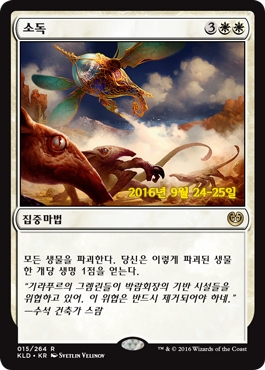 스탠다드 덱소개 UW기프트_27.jpg