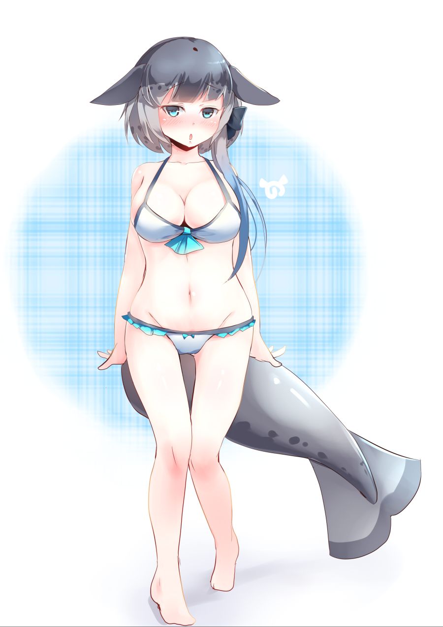 __narwhal_kemono_friends_drawn_by_kanzakietc__221565528fa508c63fc6d39cfe446662.jpg