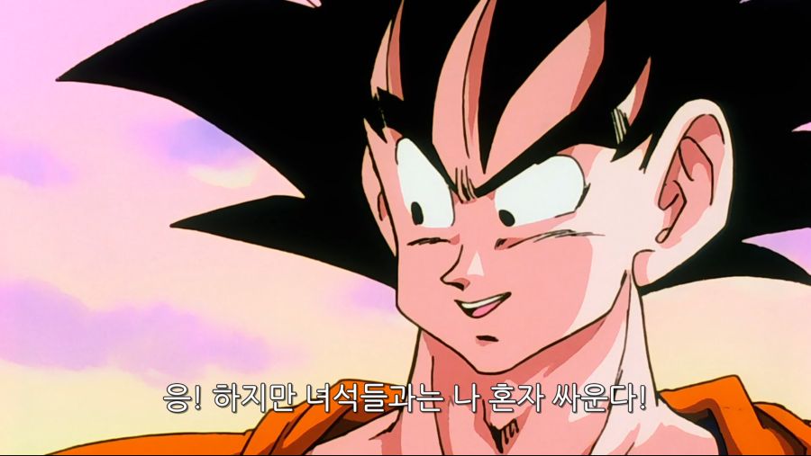 Dragonball.Z.-.028.-.1080p.BluRay.x264.DHD 0000981584ms.png