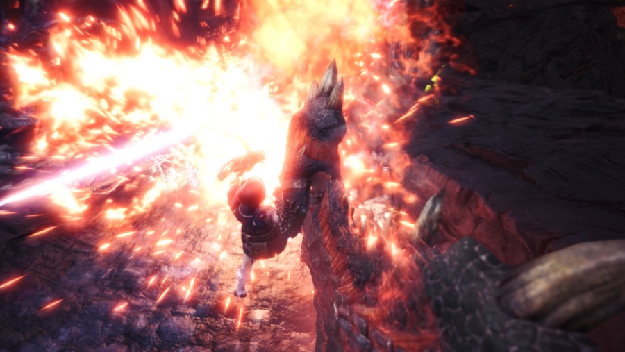 Monster Hunter_ World_20180703011756.jpg