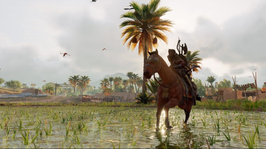 Assassin's Creed Origins Screenshot 2018.08.02 - 19.18.36.73.jpg