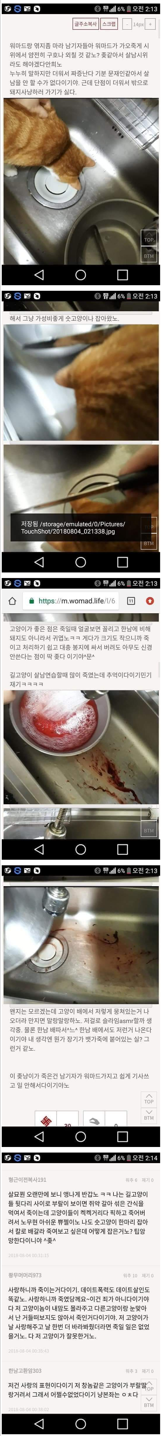 [혐] 수컷 길고양이까지 썰어죽이는 그 사이트_1.png