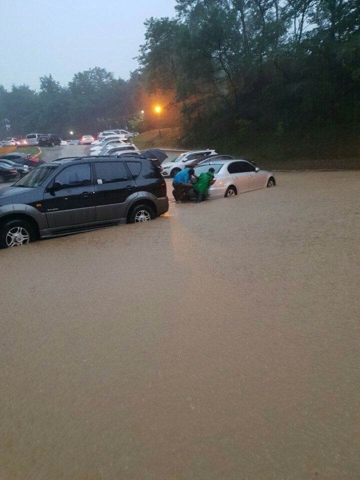 실시간 강릉.jpg_2.jpg