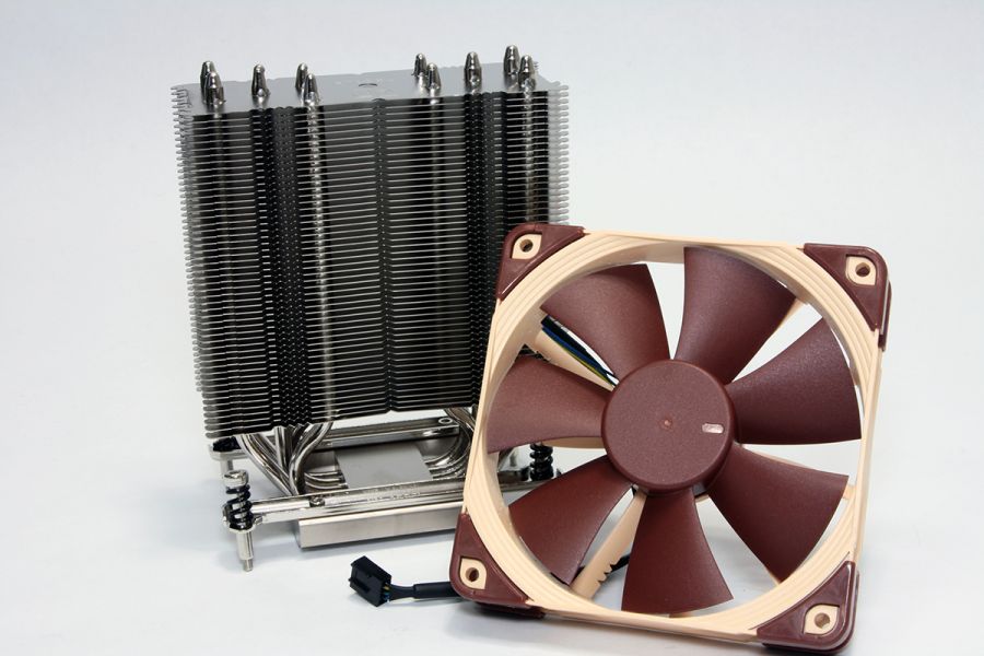 noctua2.jpg