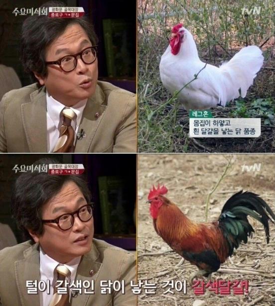 한국 계란말이가 맛없는 이유_2.jpg