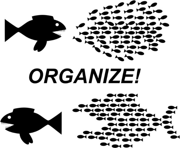 ORGANIZE.jpg