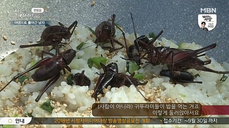 (혐)나는 자연인이다 근황.jpg_4.jpg