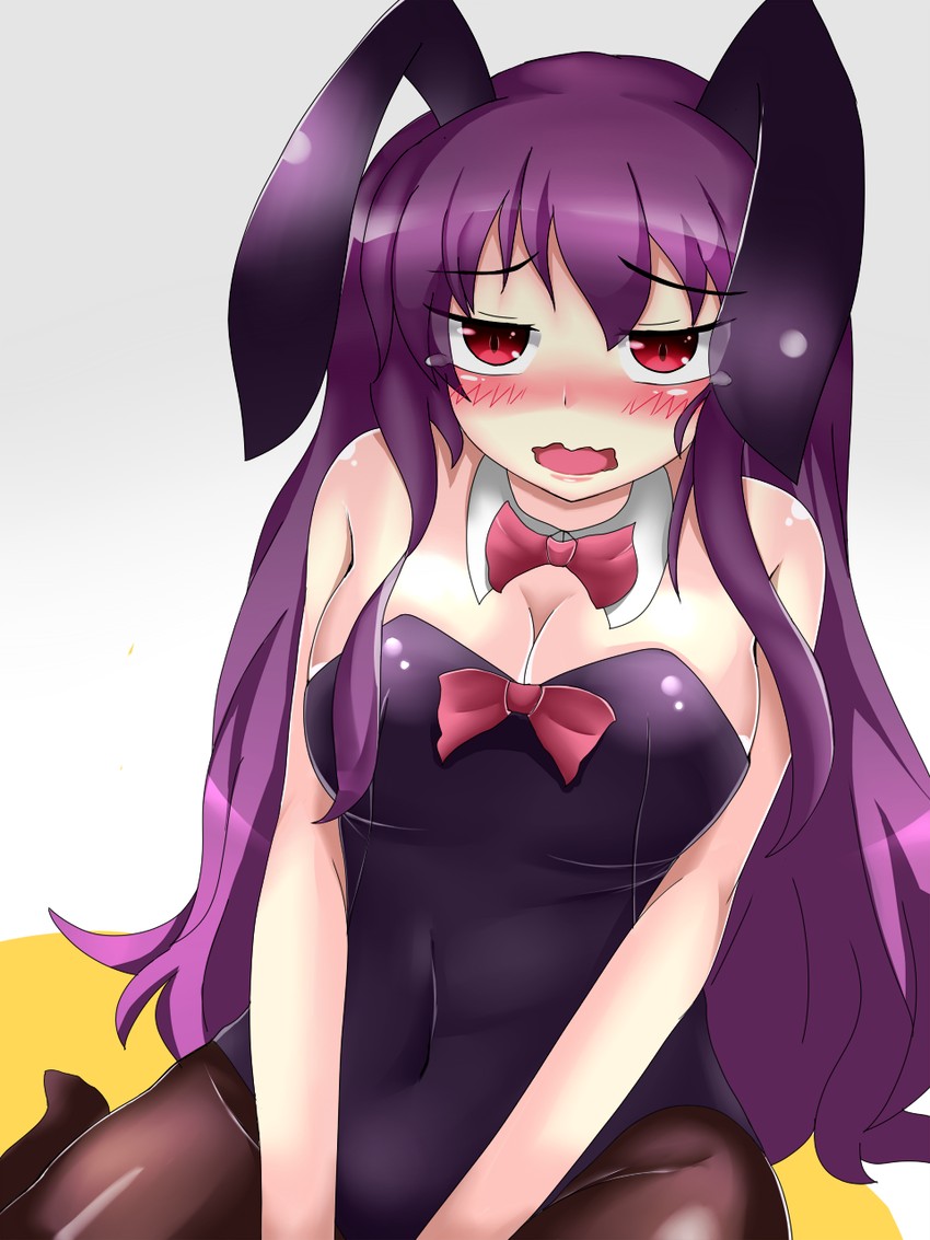 __reisen_udongein_inaba_touhou_drawn_by_arlonn__sample-7c7fb8e0b829bd700a3b209775387cf1.jpg