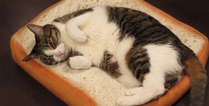 식빵위에 식빵_3.jpeg