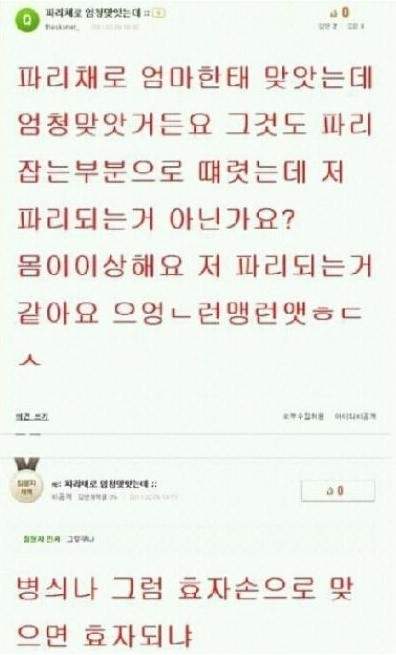 엄마에게 파리체를 맞음.jpg_1.jpg