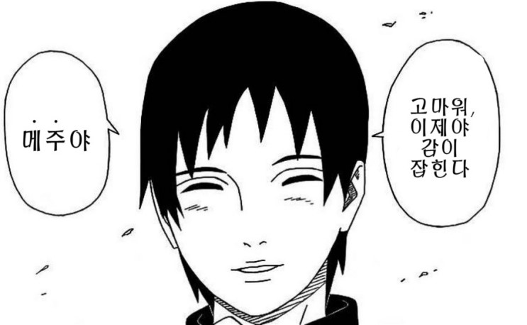 나루토식 개그의 정점.manwha_9.jpg