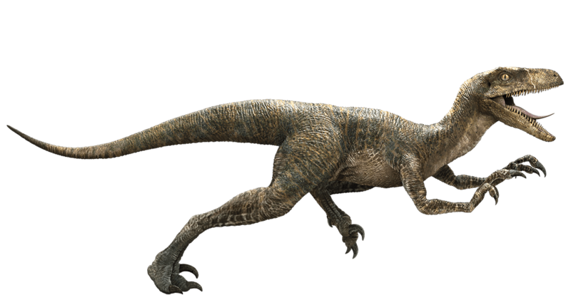 velociraptor-detail-header.png