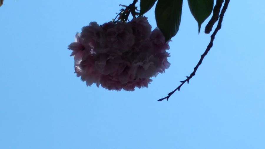 G5/G6/G7 비교해봤습니다_39.jpg