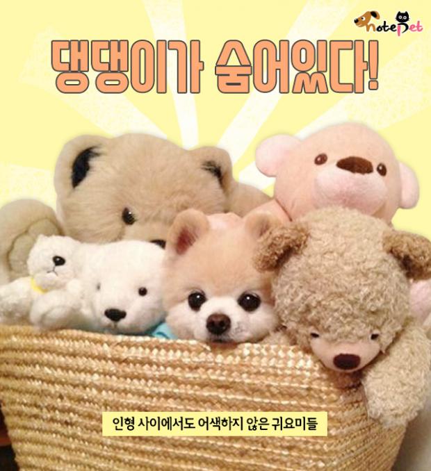 성공한 야민정음.jpg_3.jpg