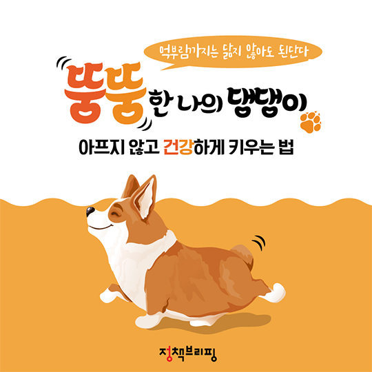 성공한 야민정음.jpg_4.jpg