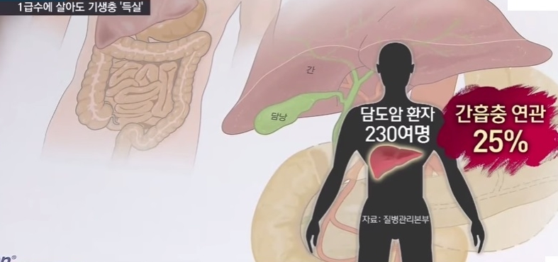 [혐주의] 1급수에 사는 민물고기라도 기생충 천지._9.jpg